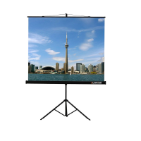 Проекционный экран на штативе Lumien Eco View (LEV-100105) 160x160 см - «globural.ru» - Жигулёвск