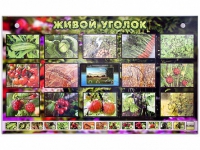 Комплект оборудования "Живой уголок" (растения) с тифлопереводом и сурдокомментариями - «globural.ru» - Жигулёвск