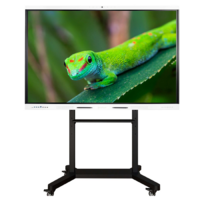 Интерактивный комплекс Geckotouch ​​​​​​​86RK - «globural.ru» - Жигулёвск