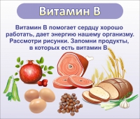 Стенд "Витамин В" - «globural.ru» - Жигулёвск