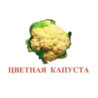 Карточки Домана "Овощи-Зелень-2" - «globural.ru» - Жигулёвск