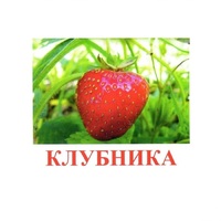 Карточки Домана "Ягоды-1" - «globural.ru» - Жигулёвск