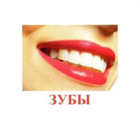 Карточки Домана "Части тела" - «globural.ru» - Жигулёвск