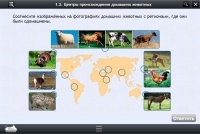 Интерактивные курсы. Биология 7 класс. Расширенный - «globural.ru» - Жигулёвск