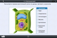 Интерактивные курсы. Биология 9 класс. Расширенный - «globural.ru» - Жигулёвск