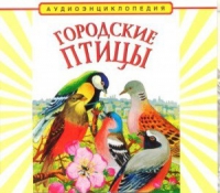 CD "Аудиоэнциклопедия. Городские птицы" - «globural.ru» - Жигулёвск