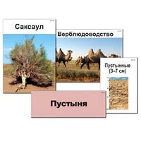 Модель-аппликация "Природные зоны России" - «globural.ru» - Жигулёвск