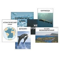 Модель-аппликация "Океаны. Знакомство" (ламинированная) - «globural.ru» - Жигулёвск