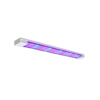Фитолампа - «globural.ru» - Жигулёвск