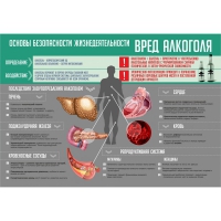 Стенд "Алкоголь" - «globural.ru» - Жигулёвск