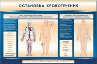 Электрифицированный стенд-тренажер "Остановка кровотечения" - «globural.ru» - Жигулёвск