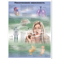 Плакат "Никотиновая зависимость", ламинированный, 50*67 см - «globural.ru» - Жигулёвск