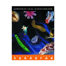 Зоология. Микрофотографии. (Цифровая база изображений) - «globural.ru» - Жигулёвск