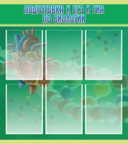 Стенд "Подготовка к ЕГЭ и ОГЭ по биологии" (вариант 1) - «globural.ru» - Жигулёвск