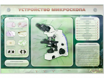Электрифицированный стенд "Устройство микроскопа и правила работы c ним" - «globural.ru» - Жигулёвск