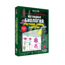 Наглядная биология. Растения. Грибы. Бактерии - «globural.ru» - Жигулёвск