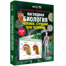 Наглядная биология. Человек. Строение тела человека - «globural.ru» - Жигулёвск