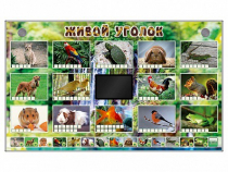 Комплект оборудования "Живой уголок" (животные) - «globural.ru» - Жигулёвск