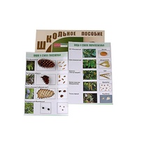 "Шишки, плоды, семена деревьев и кустарников" - «globural.ru» - Жигулёвск
