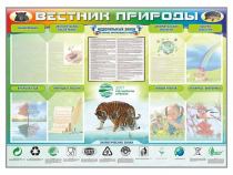 Стенд-уголок "Вестник природы" (вариант 1) - «globural.ru» - Жигулёвск