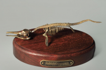 Модель скелета ихтиозавра Ichthyosaurus - «globural.ru» - Жигулёвск