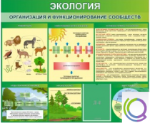 Стенд "Экология. Организация и функционирование сообществ" - «globural.ru» - Жигулёвск
