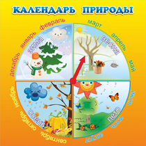 Стенд "Календарь природы" 0.5x0.5 - «globural.ru» - Жигулёвск