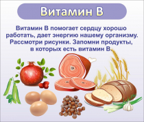 Стенд "Витамин В" - «globural.ru» - Жигулёвск