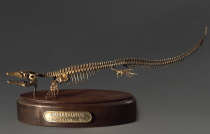 Модель скелета мозазавра Mosasaurus - «globural.ru» - Жигулёвск