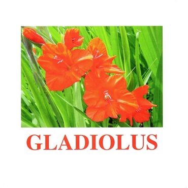 "Flowers-1" ("Цветы-1") английские карточки Домана - «globural.ru» - Жигулёвск