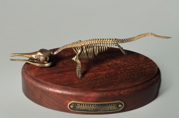Модель скелета ихтиозавра Ichthyosaurus - «globural.ru» - Жигулёвск