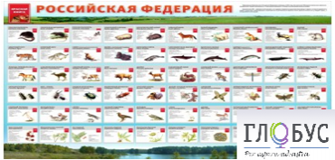 Стенд "Красная книга РФ" - «globural.ru» - Жигулёвск