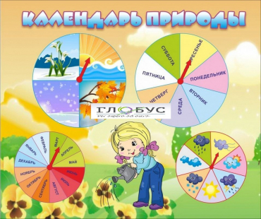 Стенд "Календарь природы" (вариант 1) - «globural.ru» - Жигулёвск