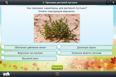 Интерактивные курсы. Окружающий мир 3 класс. Базовый - «globural.ru» - Жигулёвск