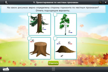 Интерактивные курсы. Окружающий мир 1 класс. Базовый - «globural.ru» - Жигулёвск