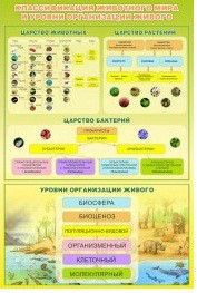 Стенд "Классификация животного мира" - «globural.ru» - Жигулёвск